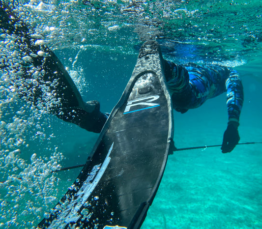 Spearfishing in the shallows